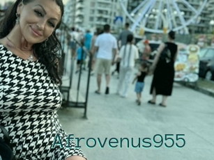 Afrovenus955
