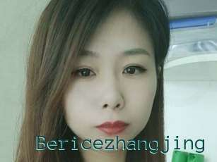 Bericezhangjing