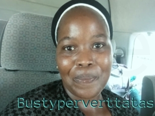 Bustyperverttatas