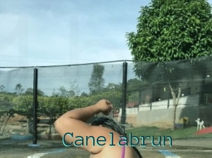 Canelabrun