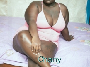 Chany