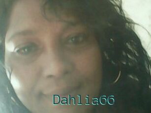 Dahlia66