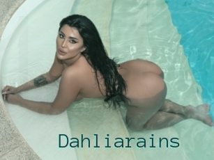 Dahliarains