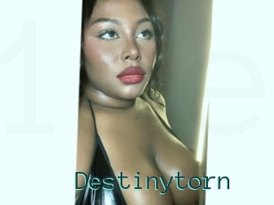 Destinytorn