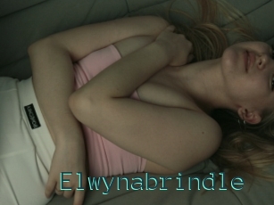 Elwynabrindle