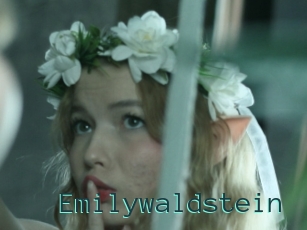 Emilywaldstein