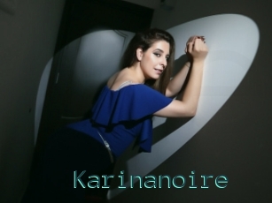 Karinanoire