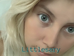 Littlesary