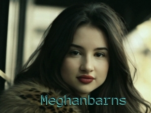 Meghanbarns