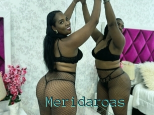 Meridaroas