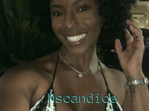 Mscandice
