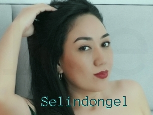 Selindongel