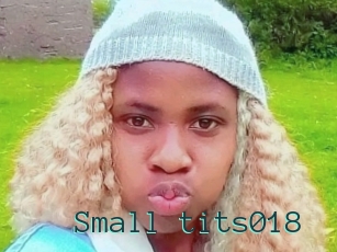 Small_tits018