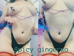 Spicy_gingerxo
