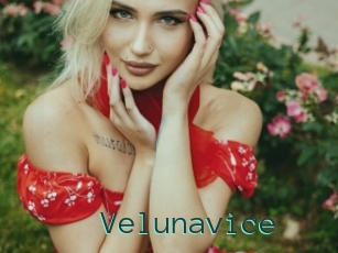 Velunavice
