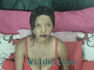 Wildkitten
